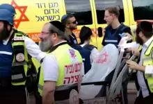 d95a4bc3-svrnujdsztnm8b5sv0q8z