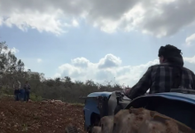 Screenshot 2026-04-16 222552