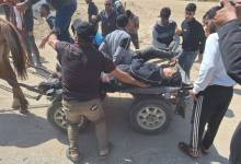 photo_2026-04-30_11-01-58