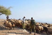 photo_2026-04-20_18-47-04