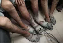 102024188330192752580