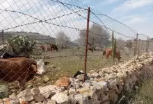 010-1758696971
