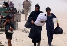300724_Khan_Yunis_OSH_00113-e1732528742258