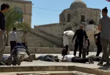 بلبل-1723537650
