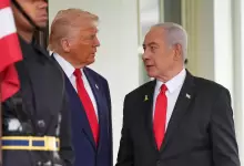 תמונה-48 (1)