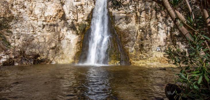 274152282_3184496628497860_3464989281180958592_n