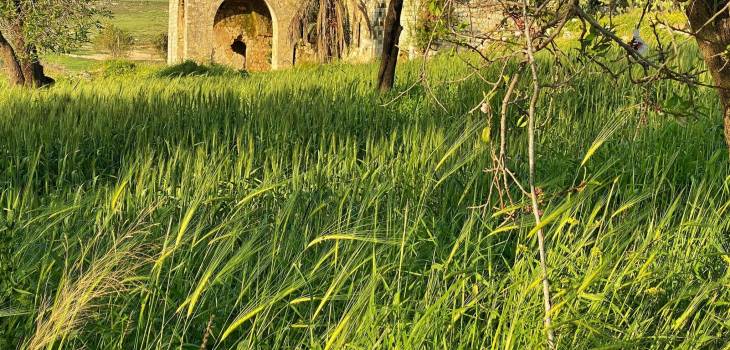 213521797_10225487170625148_485524318005369895_n