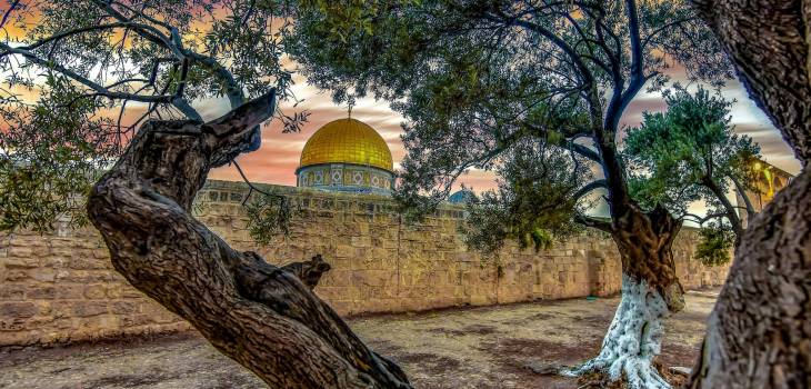 280111701_3246256352321887_7417750169463030686_n