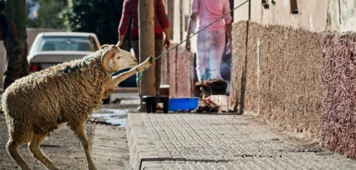 133-213714-eid-al-adha-morocco-corona_700x400