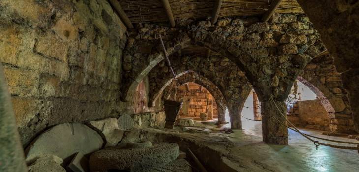 13411934_10208087395556749_8597113637922938105_o