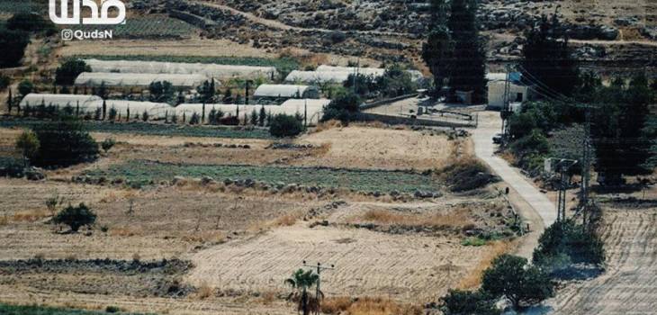 photo_2025-07-21_13-02-39