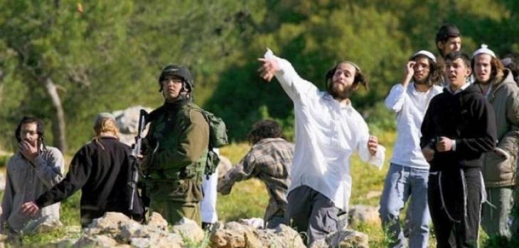 بؤر استيطانية جديدة في نابلس وهجمات على شلال العوجا بأريحا