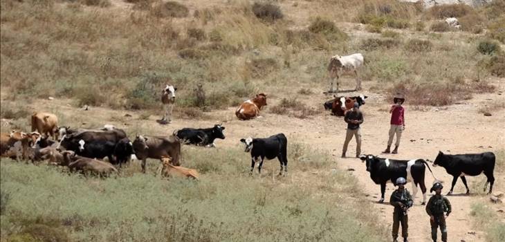 thumbs_b_c_409e201c1c3f0162b72854900f3a3c6c-b640e2e0e7e862adca336eb18fb221ae-1742962529526