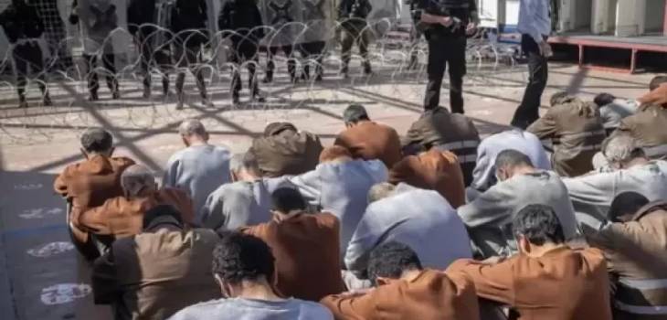 أكثر من 19 ألف حالة اعتقال و77 شهيدًا في سجون الاحتلال منذ بدء حرب الإبادة