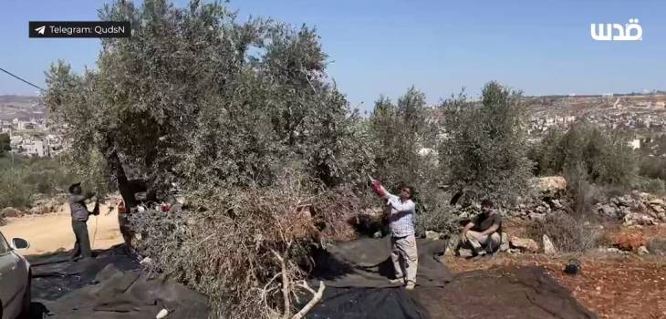 Screenshot 2025-10-11 172854