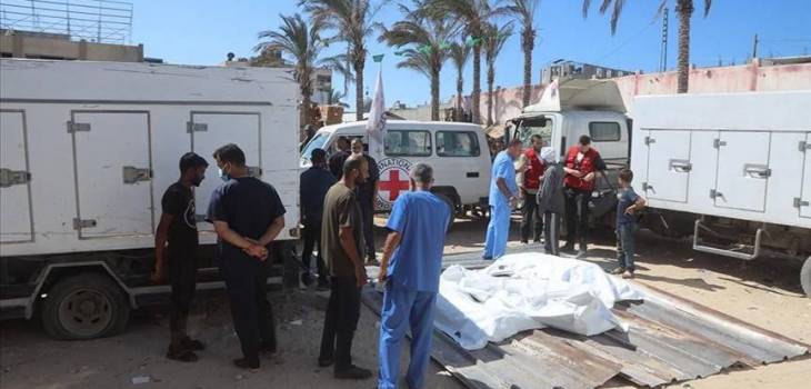 photo_٢٠٢٥-١١-١٤_١١-٠١-٤٣