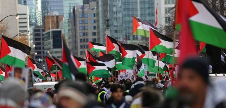 photo_٢٠٢٥-١١-٢٩_١٠-١٩-٥٠