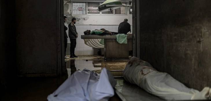 photo_٢٠٢٥-١٢-١٢_١٦-١٦-٥٧