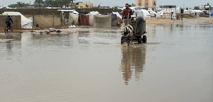 photo_٢٠٢٥-١٢-١٢_١٦-٢٩-٣٤