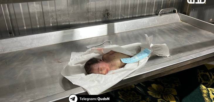 photo_٢٠٢٥-١٢-٢٠_٠٩-٢٥-٣٠