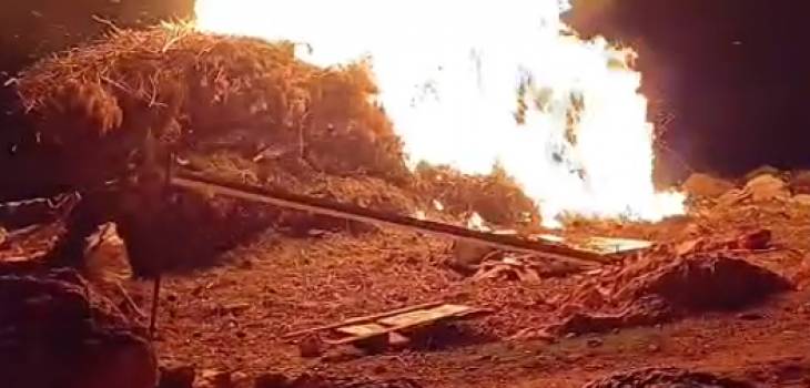 Screenshot 2026-01-28 103204