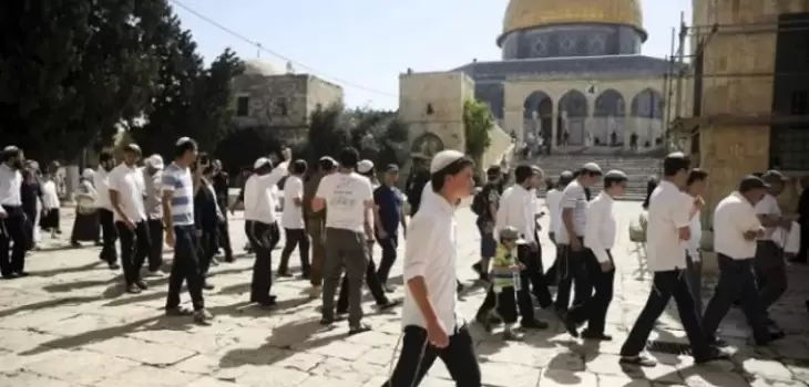 abd016a0-b379-11ee-be06-b3cd437e8e2e-file-1705304564994-336180879