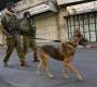 صحيفة عبرية: قوة من جيش الاحتلال أجبرت فلسطينيات على التعري 