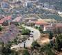 Settlement-expansion-Qaryut-West-Bank-6.6.2015-Ahmad-Al-Bazz-5_wo_750_500