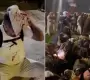 بلطجية يعتدون على قافلة الصمود في مصر 