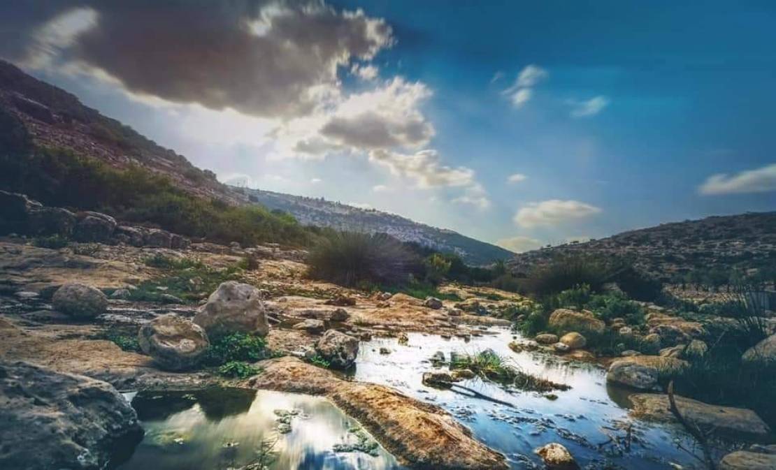 FB_IMG_1593035720972