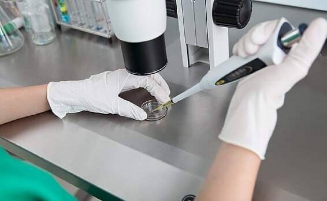 FB_IMG_1598679194101