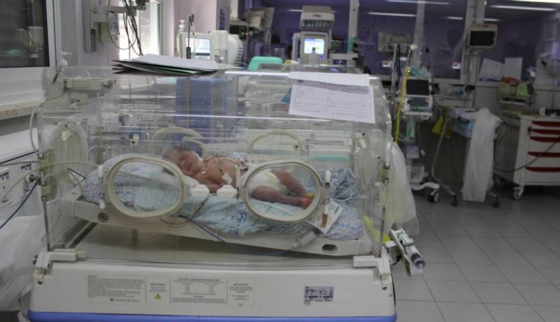 6-طفل حديث الولادة في قسم الأطفال الخدج في مستشفى المقاصد 