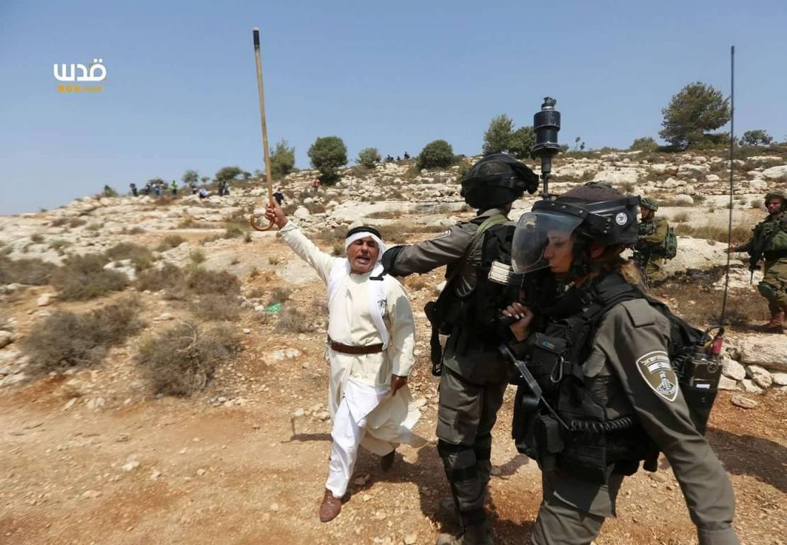 40538900_1940118022721714_642296643831463936_o