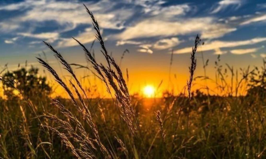 20180925063910-1600834933