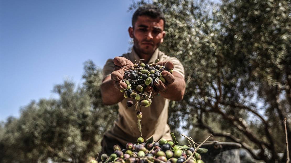 صورة تعبيرية