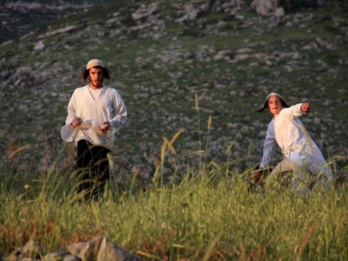 03092369146180353001737605168164