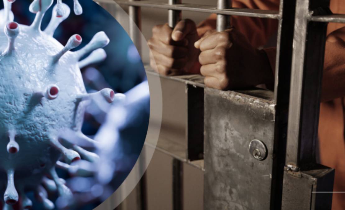 bf90e2a9-6f23-43d6-9f14-d2c880ec4a53