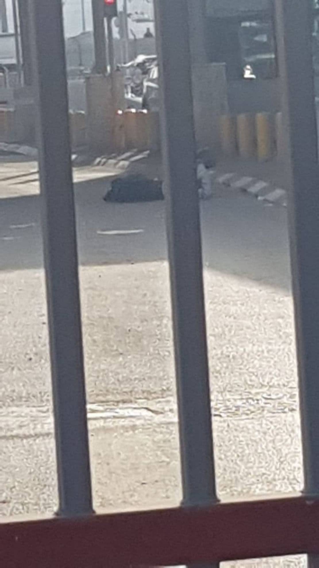 من مكان إطلاق جنود الاحتلال النار على شاب قرب حاجز قلنديا شمال القدس المحتلة 3