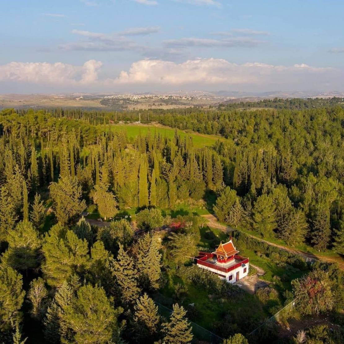 photo_2021-06-02_09-40-58