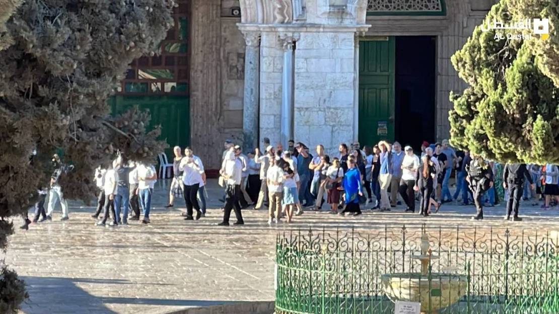 فيديو | مئات المستوطنين يقتحمون المسجد الأقصى قبيل "عيد الغفران"