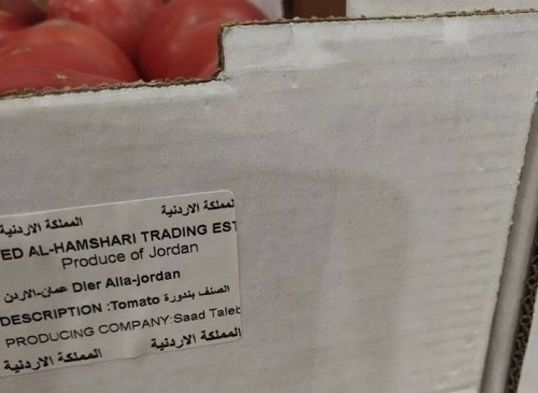 صحيفة عبرية: الطماطم الأردنية تعوض خسارة محاصيل غلاف غزة