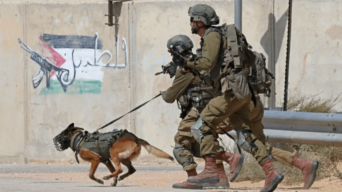 تحذيرات إسرائيلية: كلاب غزة تقاوم وتواجه كلاب الاحتلال