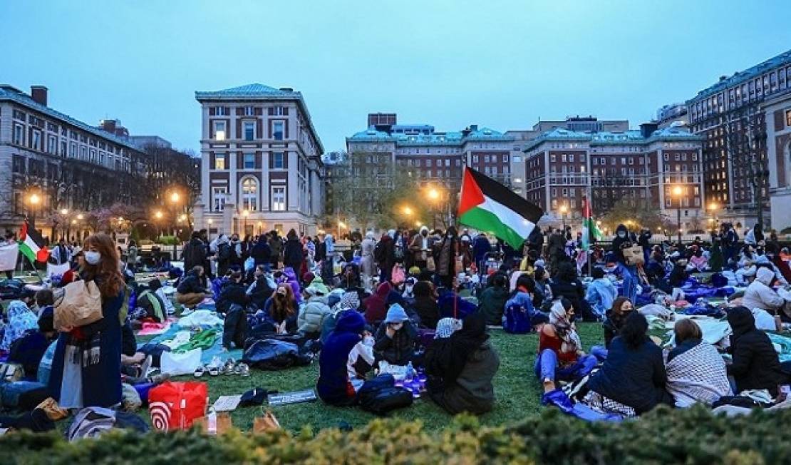 شهر على الحراك الطلابي.. هل استجابت الجامعات الأميركية لسحب الاستثمارات من الاحتلال؟