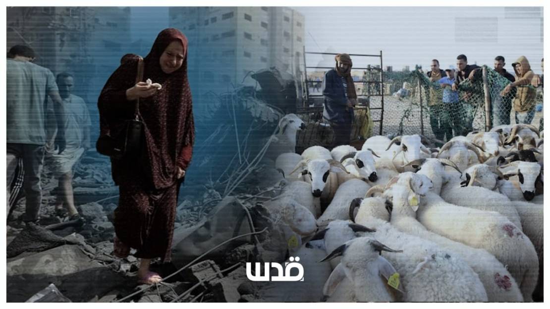 لا أضاحي تُذبح والفلسطينيون يسعون نازحين بحثا عن الأمان
