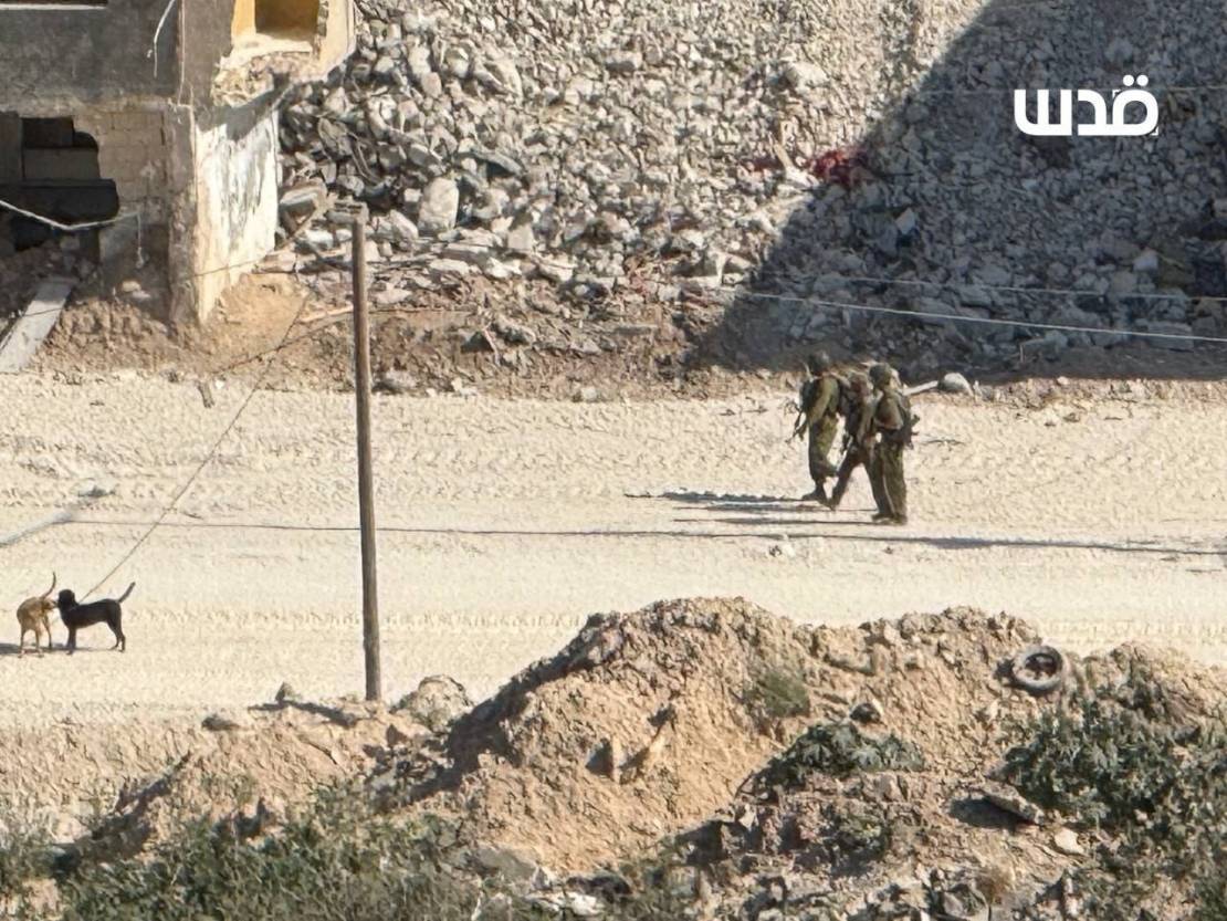  اعتداءات استيطانية واقتحامات واعتقالات في نابلس ورام الله والخليل