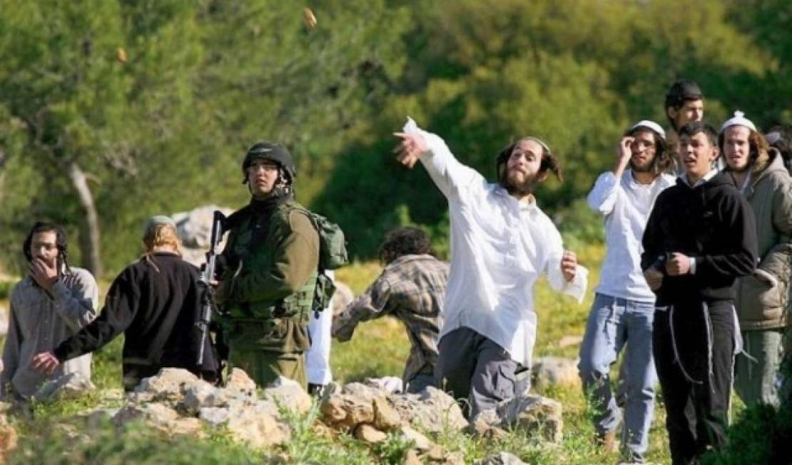 بؤر استيطانية جديدة في نابلس وهجمات على شلال العوجا بأريحا