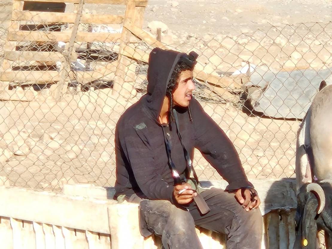 الاحتلال يصعّد هجماته في الأغوار: هدم منازل ومحال واعتداءات استيطانية