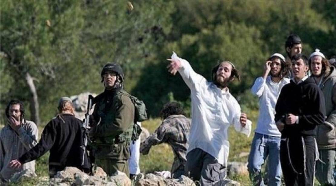 إصابات باعتداءات المستوطنين في الخليل ورام الله 