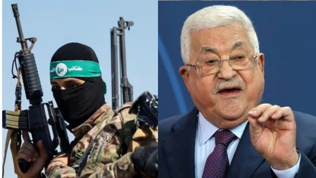 معرض صورتان (9)