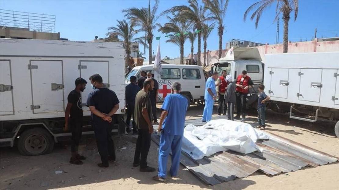 photo_٢٠٢٥-١١-١٤_١١-٠١-٤٣